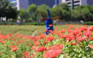 福州人不得了 除了工資要漲,原來(lái)還有這么多好消息等著你