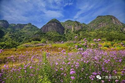 采菊都嶠下,悠然見山水:都嶠●山水田園,一個來了還想再來的地方