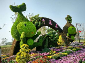 泰山花海游 游記攻略