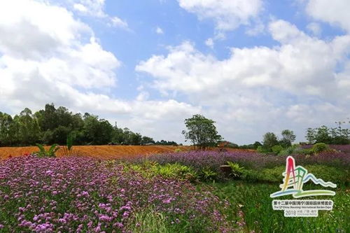 南寧國(guó)際園博園將于2018年8月試運(yùn)行 12月初將全面開放