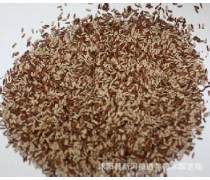 柳葉馬鞭草種子優(yōu)質(zhì)商家置頂推薦產(chǎn)品