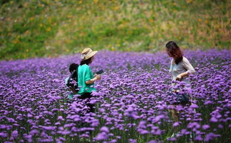 上班倒計(jì)時(shí) 10月份等待你的將是這n個(gè)好消息......