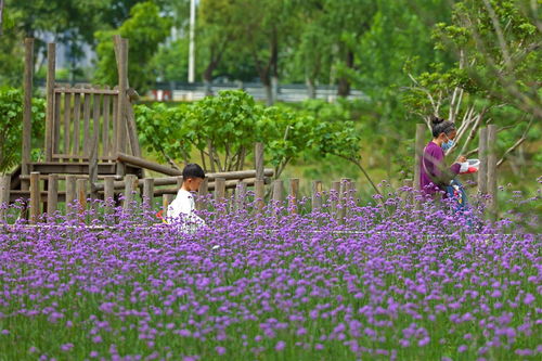 媒體報(bào)道 媒體報(bào)道 武漢市東西湖區(qū)人民政府 武漢臨空港經(jīng)濟(jì)技術(shù)開發(fā)區(qū)管委會(huì)