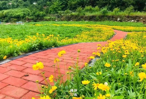 漢中這處避暑秘境你心動(dòng)了嗎