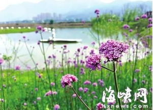 五一期間 福州公園都擠爆了 人氣最旺的人流說來嚇你一跳