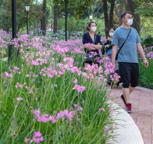 開工大吉 這兩處綠地升級改造ing,預計今年3月開放