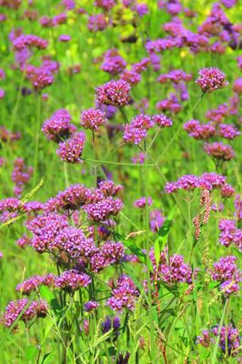 張掖黑河濕地國家級自然保護區管理局