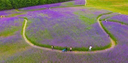 四千年歷史的 苦命 古城,被譽為藥膳之都,名字卻總被人念錯