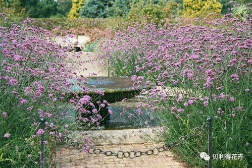 2018色彩計劃 讓紫色帶你優雅起舞