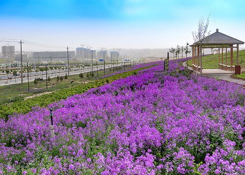 百張美圖告訴你,蘭州新區(qū)的未來更美好