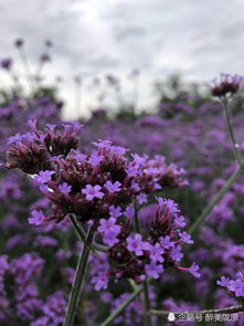 劉家峽的美景戳這里