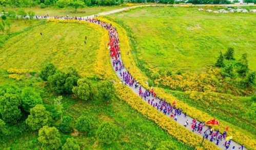 句容赤山湖 打造城市綠腎,構建綠意空間
