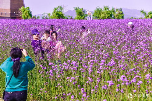 玉環(huán)門戶 主流媒體