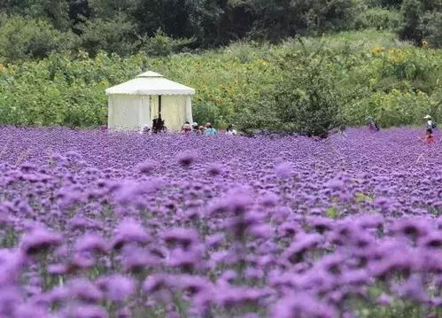 不要聲張 我在昆明周邊又發現了一處好玩的地方