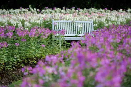 999 2晚 住洲際旗下金山 氧吧 酒店 攬醉美海灣風景,趕海 玩沙 逛古老漁村...贈花開海上門票